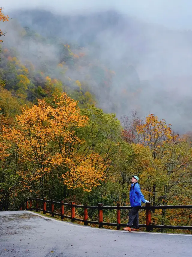 Around Chengdu! My only hiking trail I want to visit countless times