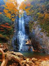 水上紅葉、晨霧牧牛，秋季必打卡的天堂