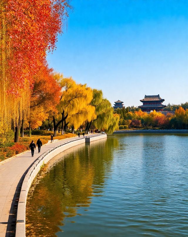 打卡唐風秋韻|邂逅城市邊的詩意與溫柔|收穫滿滿的治癒與快樂