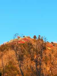 五臺山祈福全攻略|赴一場文殊之約,願六時吉祥