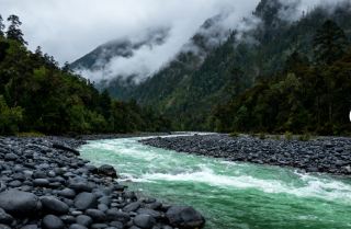 동티베트 보미 5일 느긋한 여행: 빙하 숲과 복숭아꽃 계곡의 치유 여행