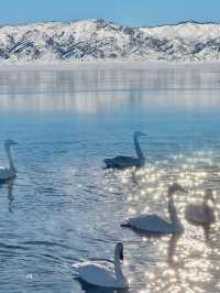 賽里木湖｜冬日限定·天空之鏡Live圖直出！#賽里木湖藍