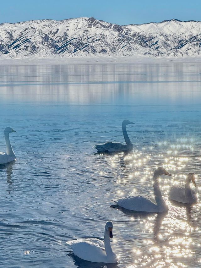 賽里木湖｜冬日限定·天空之鏡Live圖直出！#賽里木湖藍