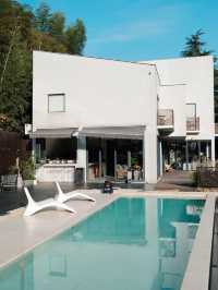 週末自駕莫干山帶毛孩子一起撒歡