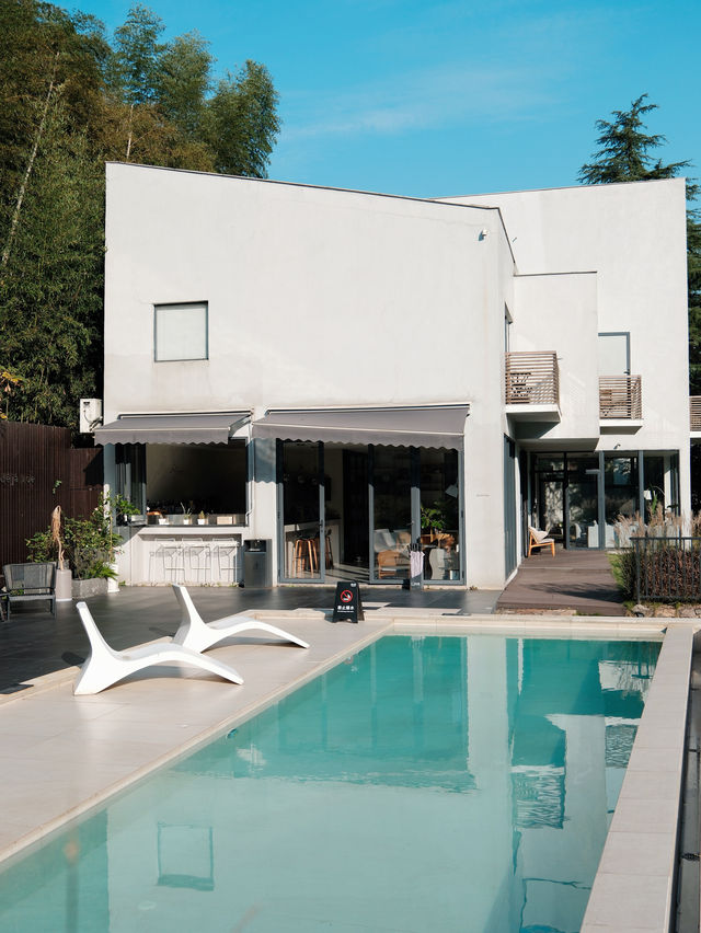 週末自駕莫干山帶毛孩子一起撒歡