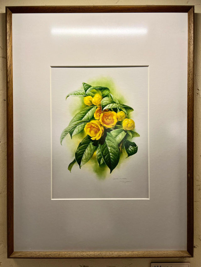 世遺景邁山博物館(景邁山遺產展示中心) 世遺景邁山博物館(景邁山遺產展示中心)