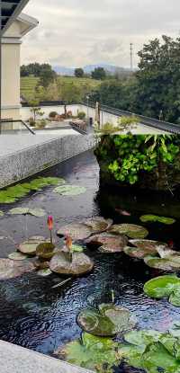 宜興團建封神地！包棟野奢別院太快樂了