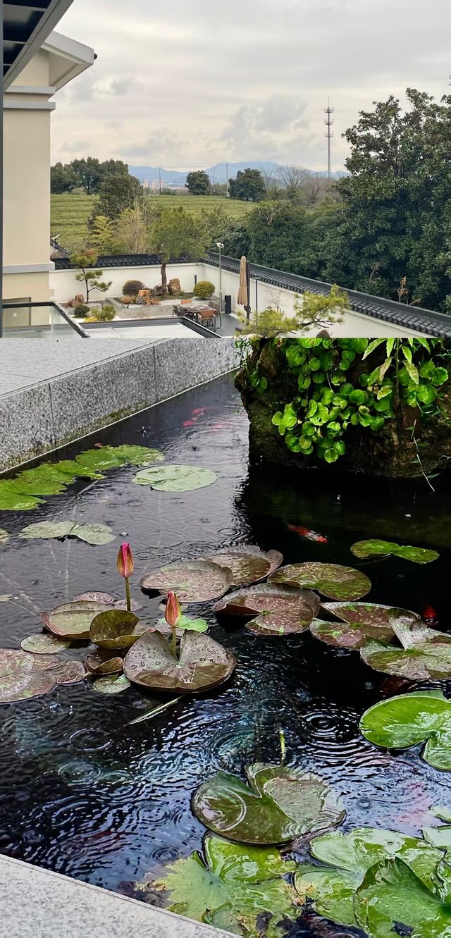 宜興團建封神地！包棟野奢別院太快樂了