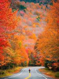 霜染鍋盔鋪錦繡 暖居枕秋入夢來