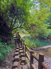 帶娃吸氧去!成都1.5h直達的森林徒步路線