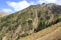 Exceptional Driving and Conversation Experience