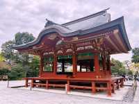 鶴岡八幡宮｜鎌倉最具代表性的神社散步路線 ⛩️🍁