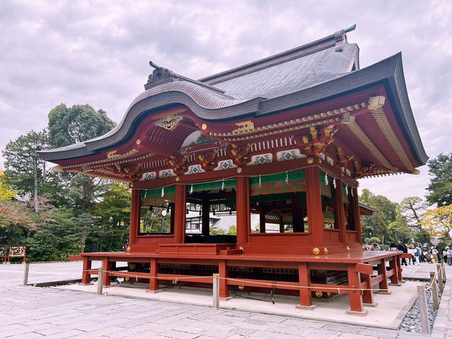 鶴岡八幡宮｜鎌倉最具代表性的神社散步路線 ⛩️🍁