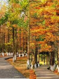 南昌｜是秋天的味道