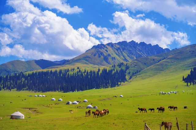 新疆伊犁定制 新疆伊犁定制