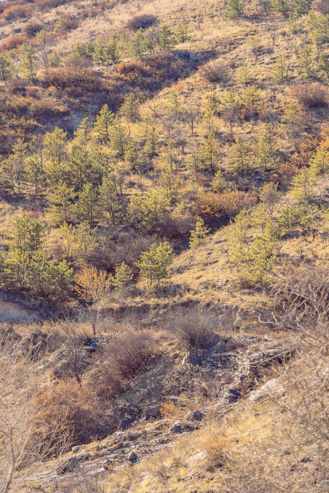 呼市小眾雪景｜紅石崖美到心巴上