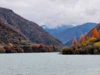 藏寨秋遊好去處