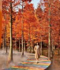 初冬限定洪澤湖濕地絕美勝境|小眾仙境打卡指南