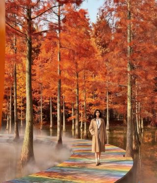 Early Winter Exclusive: The Stunning Hongze Lake Wetlands｜A Guide to Off-the-Beaten-Path Fairyland Check-ins