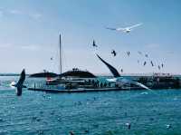 內蒙古烏海秘境塞外小城的大漠柔情與江湖浪漫