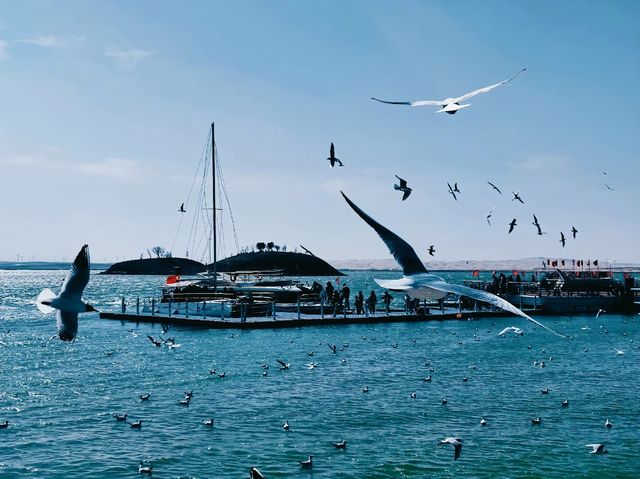 內蒙古烏海秘境塞外小城的大漠柔情與江湖浪漫 內蒙古烏海秘境塞外小城的大漠柔情與江湖浪漫