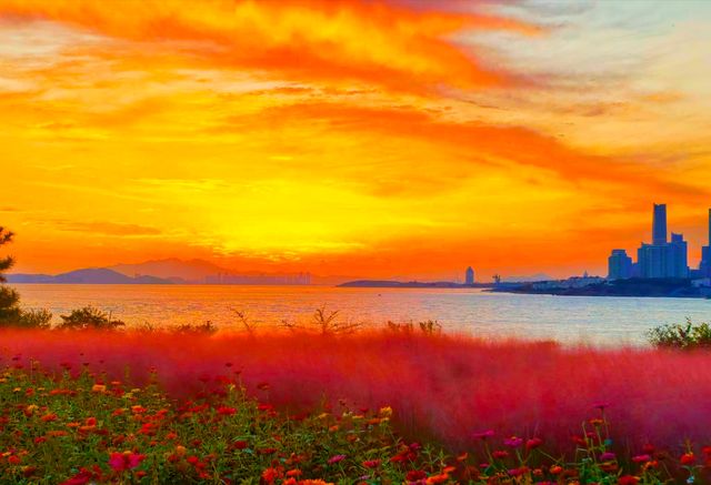 好想在海邊定居，雖然魚腥味有點重