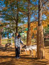 江浙滬這座寶藏樂園！已經被這裡動物萌化了