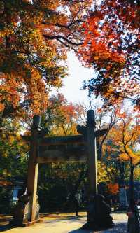 南京靈谷寺賞秋秘境