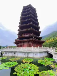 這是我花5蚊雞就能看到的景色？！？！