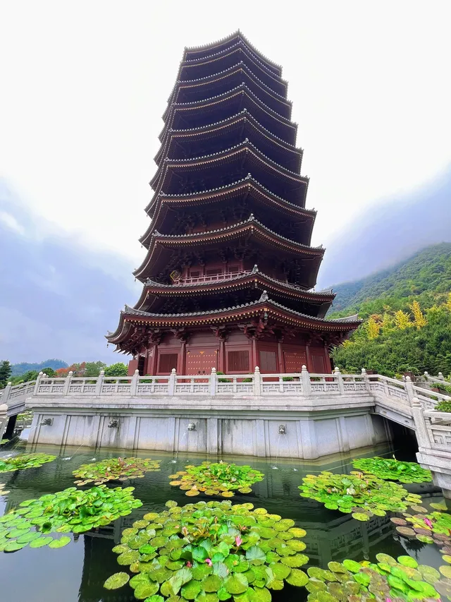 這是我花5蚊雞就能看到的景色？！？！