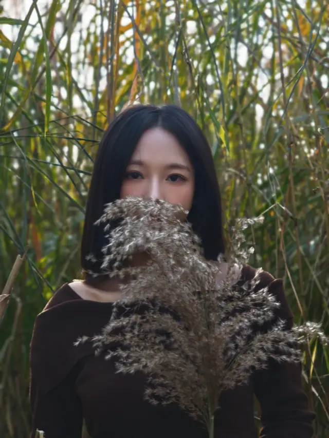 The Yangtze River Beach in Wuhan is a romance given by the reeds