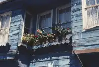 膠片|在伊斯坦堡聽《伊斯坦堡》