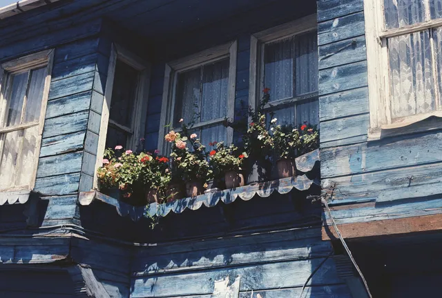 膠片|在伊斯坦堡聽《伊斯坦堡》 膠片|在伊斯坦堡聽《伊斯坦堡》