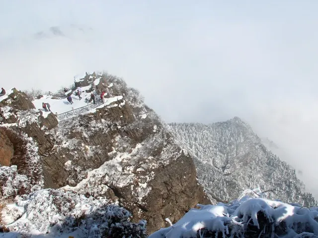 成都人別再跑遠！峨眉山的冬雪才是隱藏驚喜