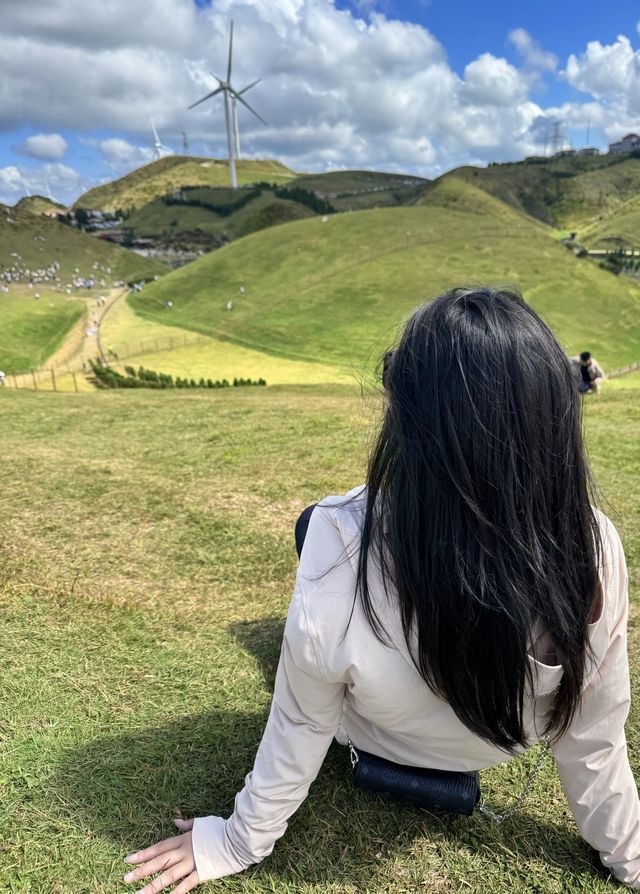 霧淞後遇晴天 影相+酒店雙絕