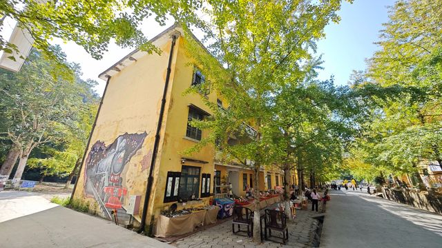 當銀杏樹與老房子同框時,我恍惚瞬間代入到那峥嵘歲月的日子 當銀杏樹與老房子同框時,我恍惚瞬間代入到那峥嵘歲月的日子