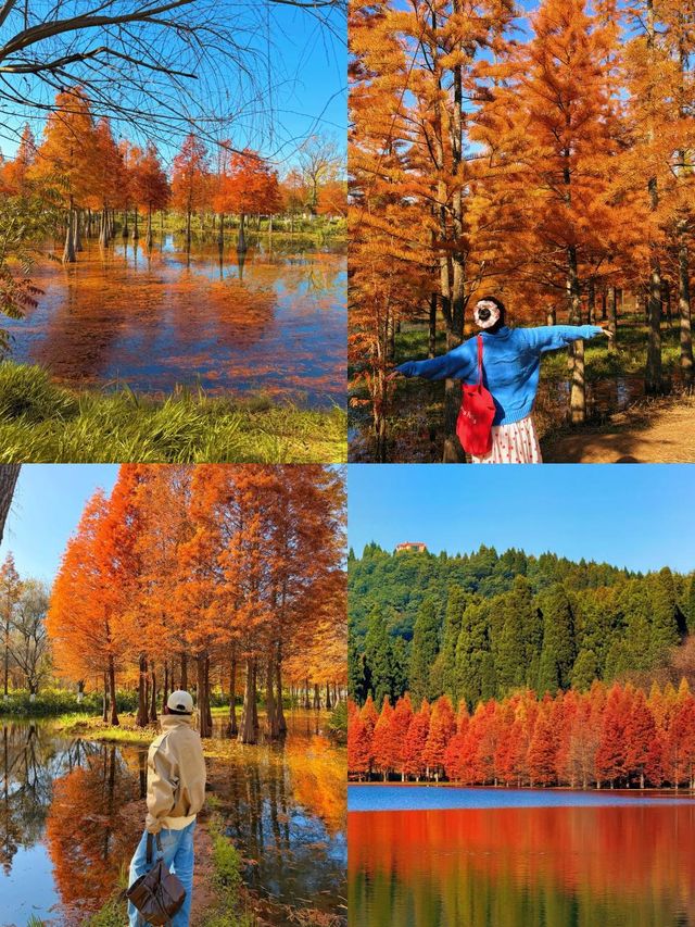 昆明等地5天遊這些隱藏玩法必看