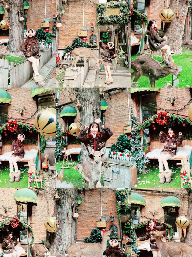 瀋陽冬遊圖鑑：漫季雲尚酒店帶你玩轉盛京暖冬