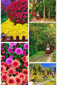 超全攻略!冬日共青森林公園賞秋絕了