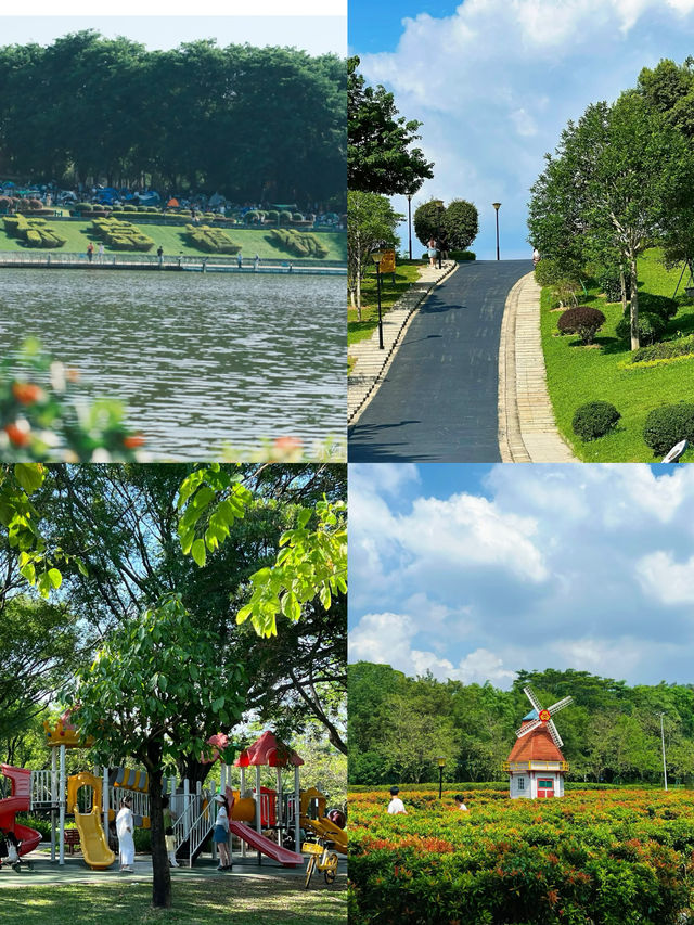 藏在市區的綠野仙蹤|東莞植物園拍照全攻略 藏在市區的綠野仙蹤|東莞植物園拍照全攻略
