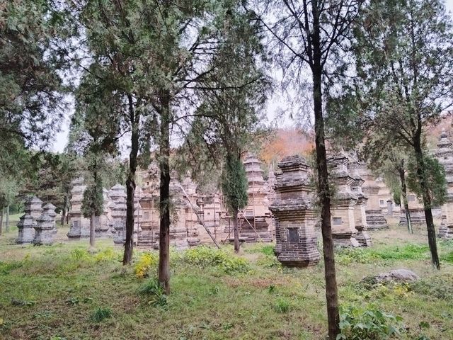 嵩山雨霧,塔影奇觀 嵩山雨霧,塔影奇觀