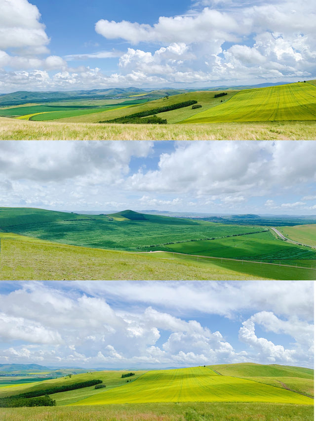 藍天白雲下的童話秘境內蒙古的森林草原童話 藍天白雲下的童話秘境內蒙古的森林草原童話