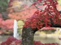 名古屋的秋東山 犬山 真的很好拍~
