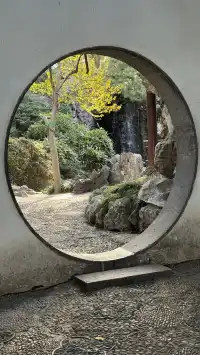 為了一棵樹來了瞻園|全屏感受金陵第一園