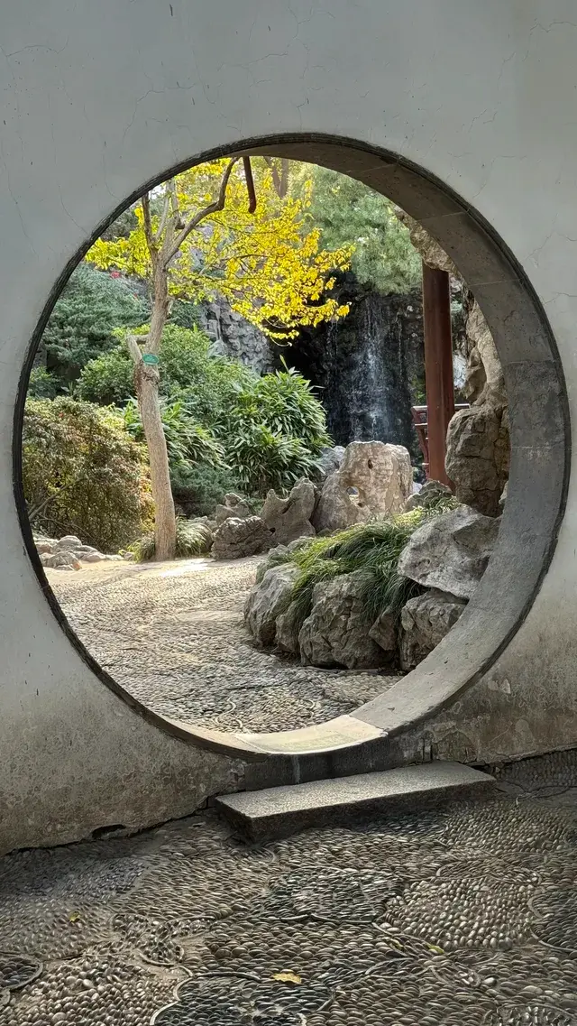 為了一棵樹來了瞻園|全屏感受金陵第一園 為了一棵樹來了瞻園|全屏感受金陵第一園