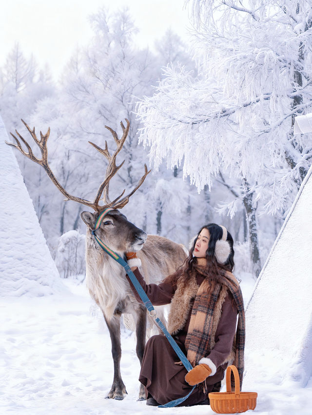 不是北歐是只有0.1%去過的冷門邊境小城 不是北歐是只有0.1%去過的冷門邊境小城