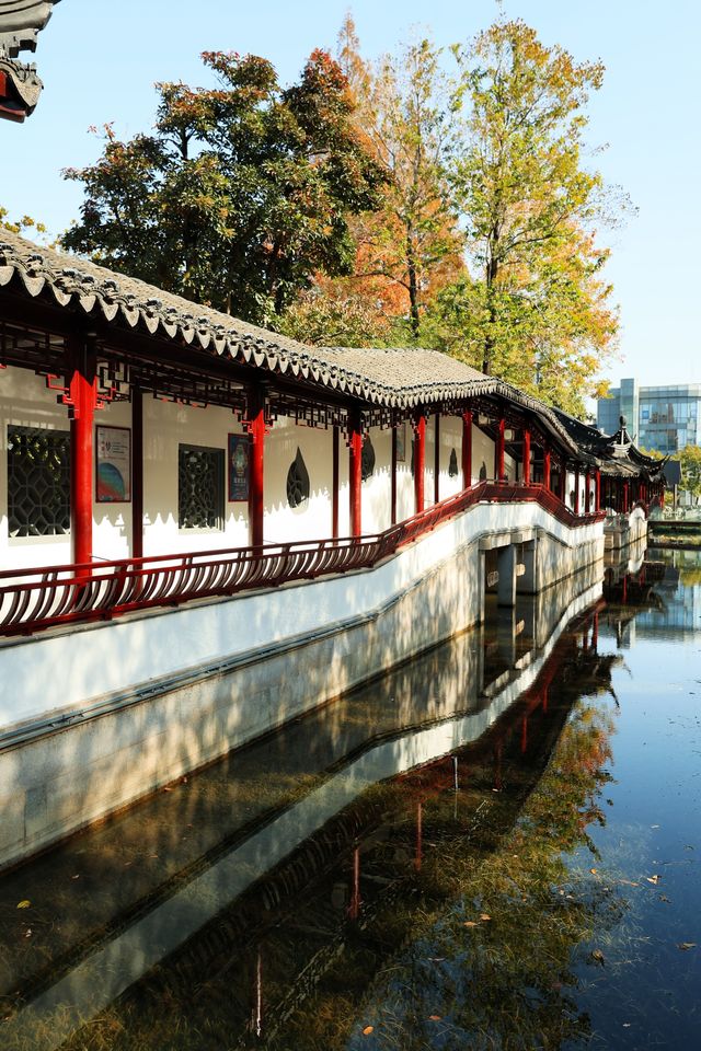 青浦隱世秋色地圖驚嘆老祖宗的審美 青浦隱世秋色地圖驚嘆老祖宗的審美