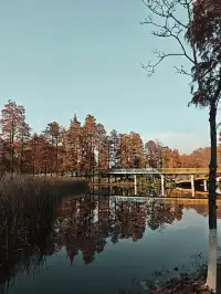 此時，武漢東湖美得不像話免費停車！