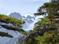 蕪湖黃山四日遊