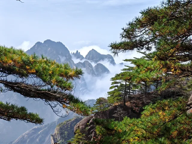 蕪湖黃山四日遊 蕪湖黃山四日遊